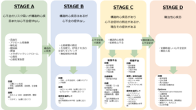 心不全の病期・ステージ分類｜YUMINO's コラム｜活動報告｜医療法人