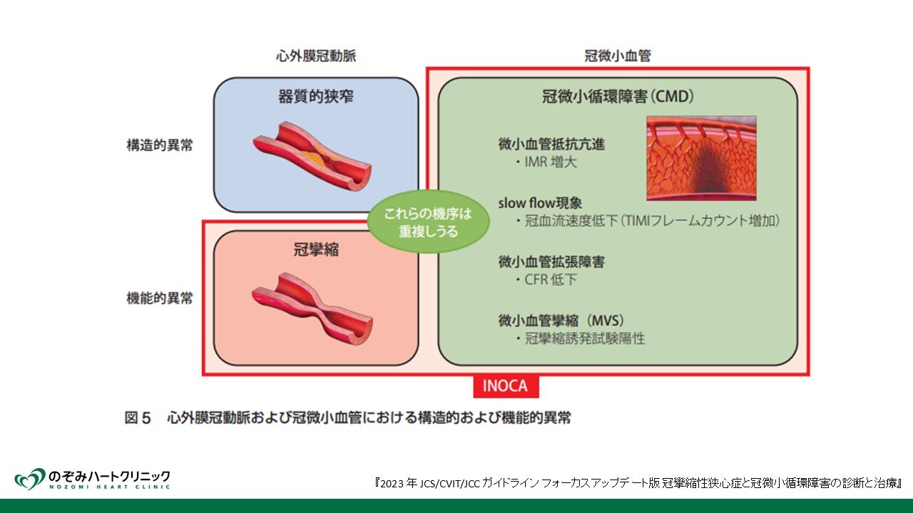 20250210_コラム_嘉悦先生.jpg