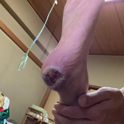 resized_image_1.jpg